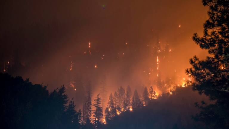 Fire burning a mountainside of trees at night