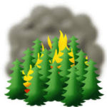 Animation of trees with a large amount of smoke in the background.